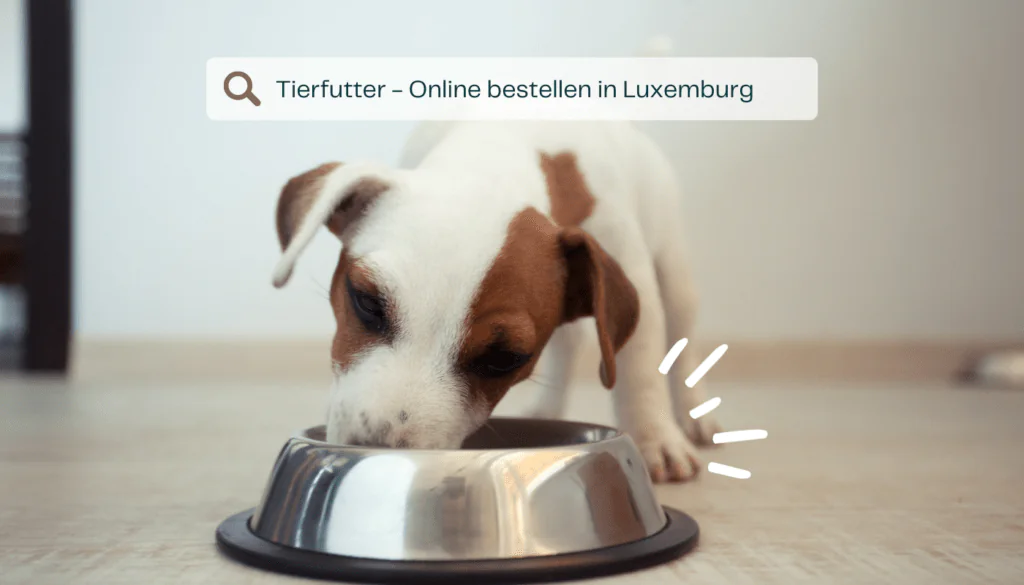Halbvoller Hundenapf